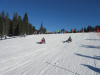 pokljuka_3