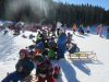 pokljuka_5